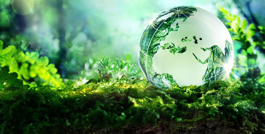 14001 https://www.ims.mk/wp-content/uploads/2022/04/14001.jpeg