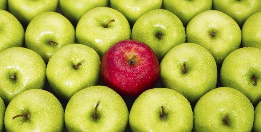 global-gap https://www.ims.mk/wp-content/uploads/2022/04/global-gap.jpeg