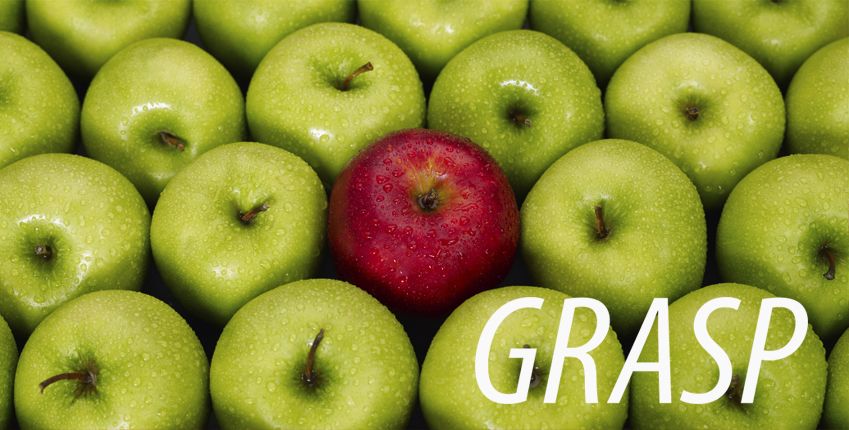 grasp https://www.ims.mk/wp-content/uploads/2022/04/grasp.jpeg