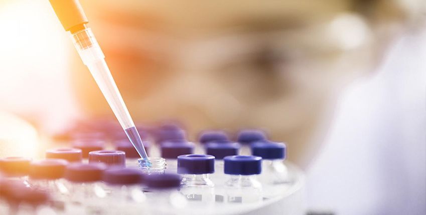 17025 https://www.ims.mk/wp-content/uploads/2022/05/17025.jpeg