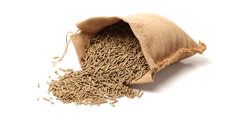 GMP-copy https://www.ims.mk/wp-content/uploads/2022/05/GMP-copy.jpg