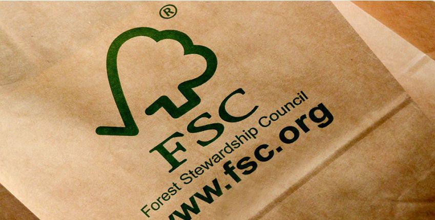 fsc1 https://www.ims.mk/wp-content/uploads/2022/05/fsc1.jpeg